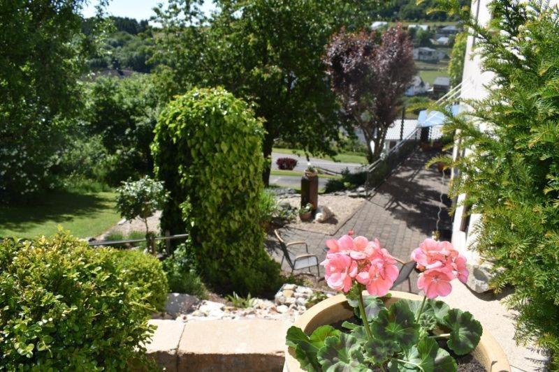 Ferienwohnung Zum Harpelstein Horath المظهر الخارجي الصورة