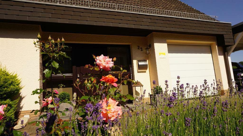 Ferienwohnung Zum Harpelstein Horath المظهر الخارجي الصورة